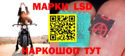 ПСИЛОЦИБИНОВЫЕ ГРИБЫ Краснознаменск